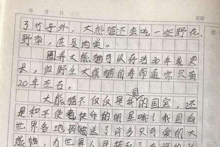 熊猫身处丛林写一段话