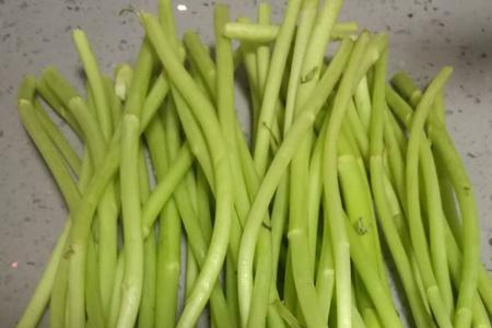 杆粗叶大空心的叫什么菜