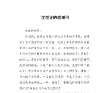 转正感谢领导的话