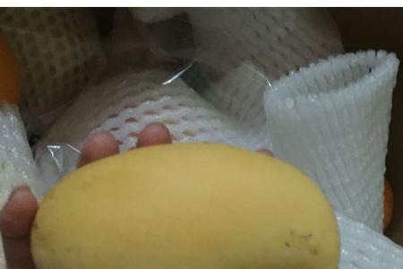 云南鹰嘴芒果好吃吗