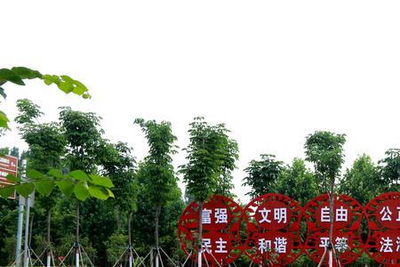 生态宜居标语