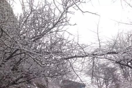 雪天代表什么心情