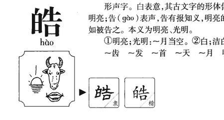 用文和涛组词