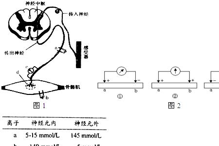 电极弧是什么意思