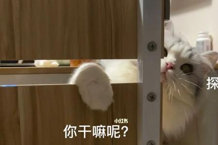 你干嘛的是什么意思