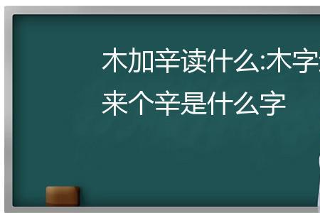 一个木一个同念什么