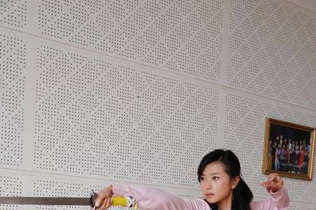 形容武术舞剑优雅的四字成语