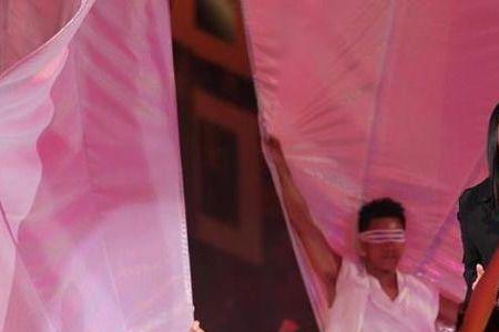 王菲对田震的评价