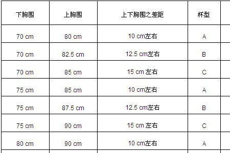 104a衣服胸围尺码对照表