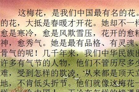 梅花魂外祖父还会对莺儿说什么
