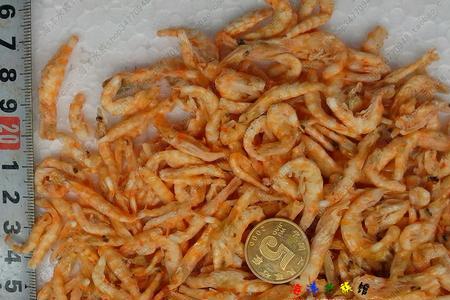 磷虾多大一只