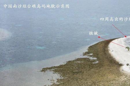 南海吹沙造岛是哪一年开始的