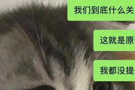 男票和你说不好意思是什么意思