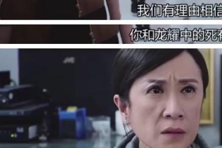 法证先锋为什么不更新了
