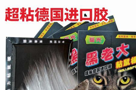 榄菊超声波驱鼠对猫有影响吗
