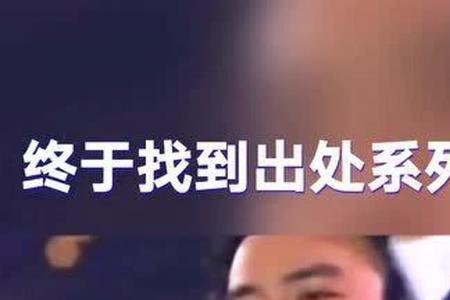 歌曲护花使者赏析