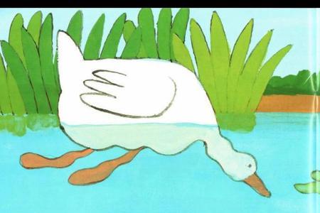 bus和duck读音一样吗