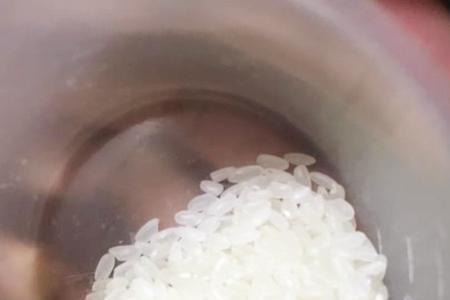 河里的鱼喜欢吃米饭吗