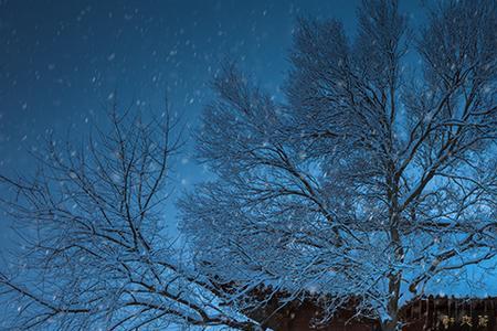 执笔为安落雪为念什么意思