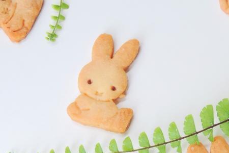小白兔吃饼干正常吗