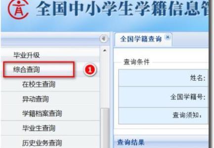 国际学籍号是什么