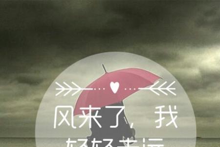 轻轻走远是什么歌