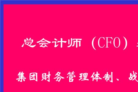 大学总会计师是什么级别
