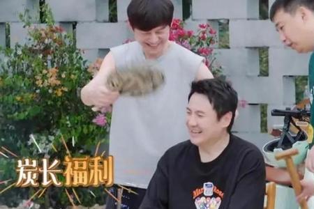 向往的生活沈腾喝酒了吗