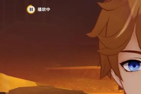 原神宠物鸟一直有的吗