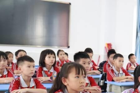 直属小学什么意思
