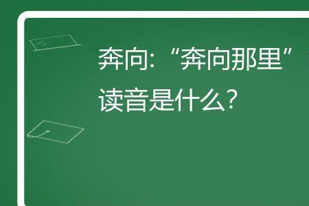 投奔的奔几声