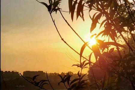 夕阳将尽近义词