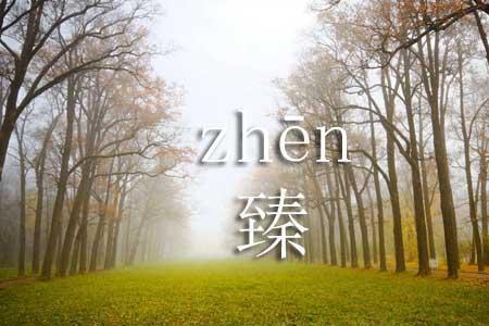 臻于的意思是什么
