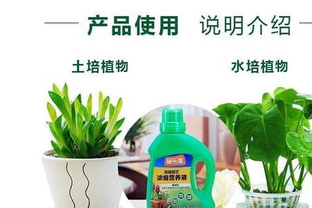 叶绿素可以与营养液同时使用吗