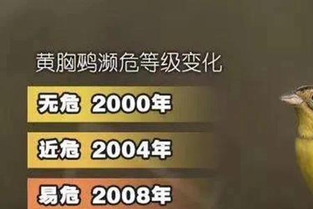 近危和易危的区别