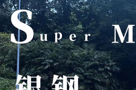 银钢supermini坐高测评