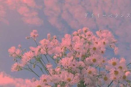 好好生活下一句怎么接