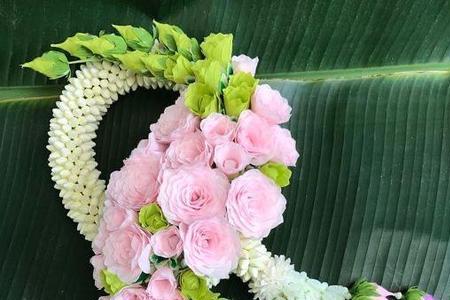 泰国女人头上戴的花是什么花