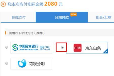 京东哪些商品可以分期付款