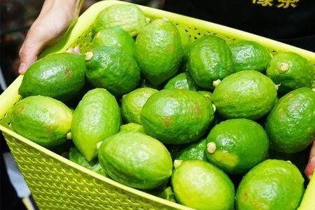 柠檬茶走奶什么意思