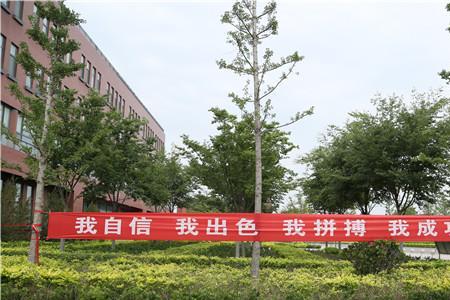 顺利靠岸祝福语横幅
