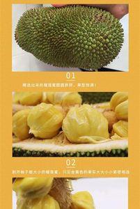 榴莲蜜是怎么来的