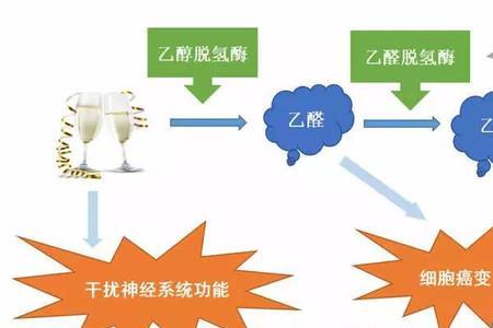 醛能发生哪些类型的反应