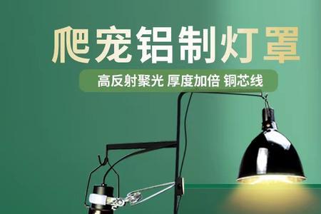 珍珠龟需要晒背灯吗