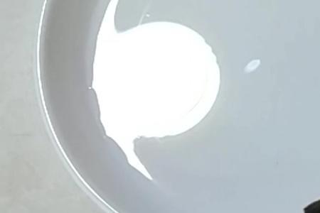 小鸟多久洗一次澡最好
