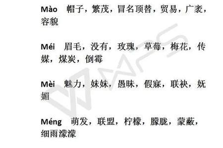 shouzhang的四声同音字有哪些