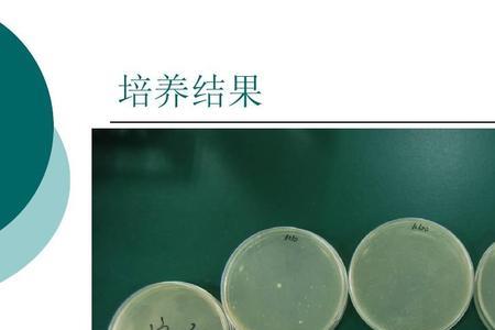 简述菌落的测定步骤