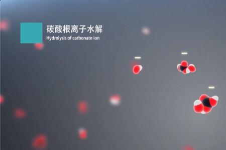 碳酸根和氢氧根离子的反应