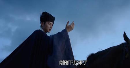 鹤唳华亭赵王结局