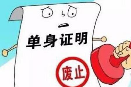 丧偶式单身是什么意思